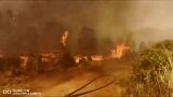 A screenshot of wildfires raging in Chile.