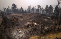 Incendio forestal en Santa Juana (Chile).