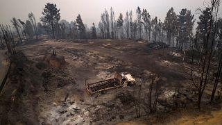 Incendio forestal en Santa Juana (Chile). 