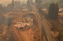 Aerial shot land devastated by forest fires in Chile.