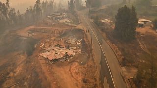 صور من حرائق الغابات في تشيلي