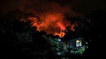 حرائق الغابات في تشيلي