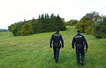 Rendőrök járőröznek a cseh zöldhatáron