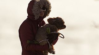 Γυναίκα με το σκύλο της στο Πόρτλαντ, όπου η θερμοκρασία ήταν -23 βαθμούς Κελσίου