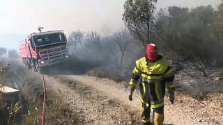 Des pompiers en action dans la parc naturel des Alpilles, dans le sud de la France, samedi 4 février 2023.