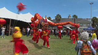 Cape Town holds first Chinese Spring Festival temple fair