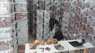 A room at the San Fernando cemetery in Seville holds the remains of 1,786 people dug out from one of Spain's biggest mass graves.