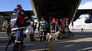 Des pompiers grecs accompagnés de chiens montent à bord d'un avion militaire à la base aérienne d'Elefsina, dans l'ouest d'Athènes, en Grèce, lundi 6 février 2023.