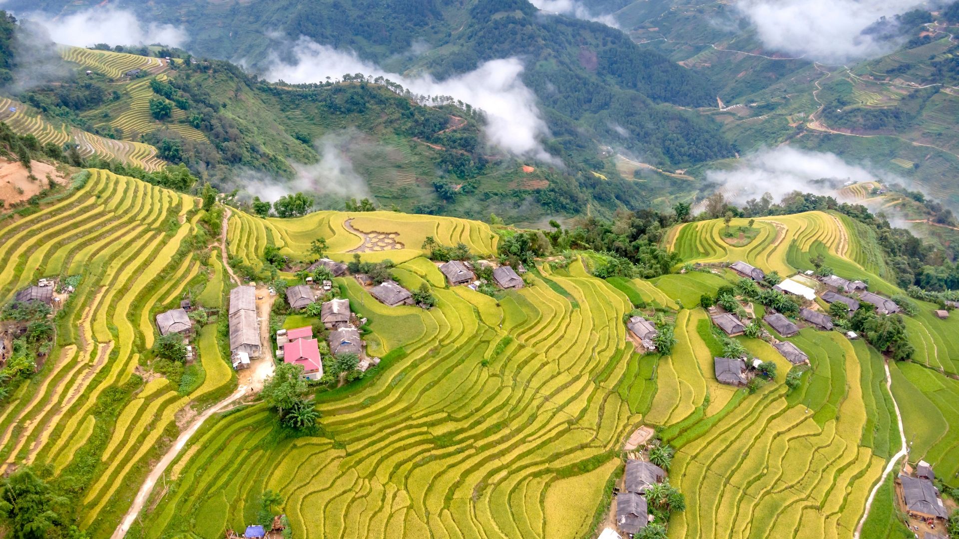 banaue-rice-terraces-world-wonder-at-risk-of-collapse-as-as-locals