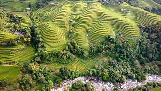 This network of rice fields is known locally as the “stairs to heaven”.