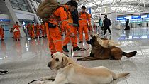 Aiuti umanitari, personale e cani addestrati