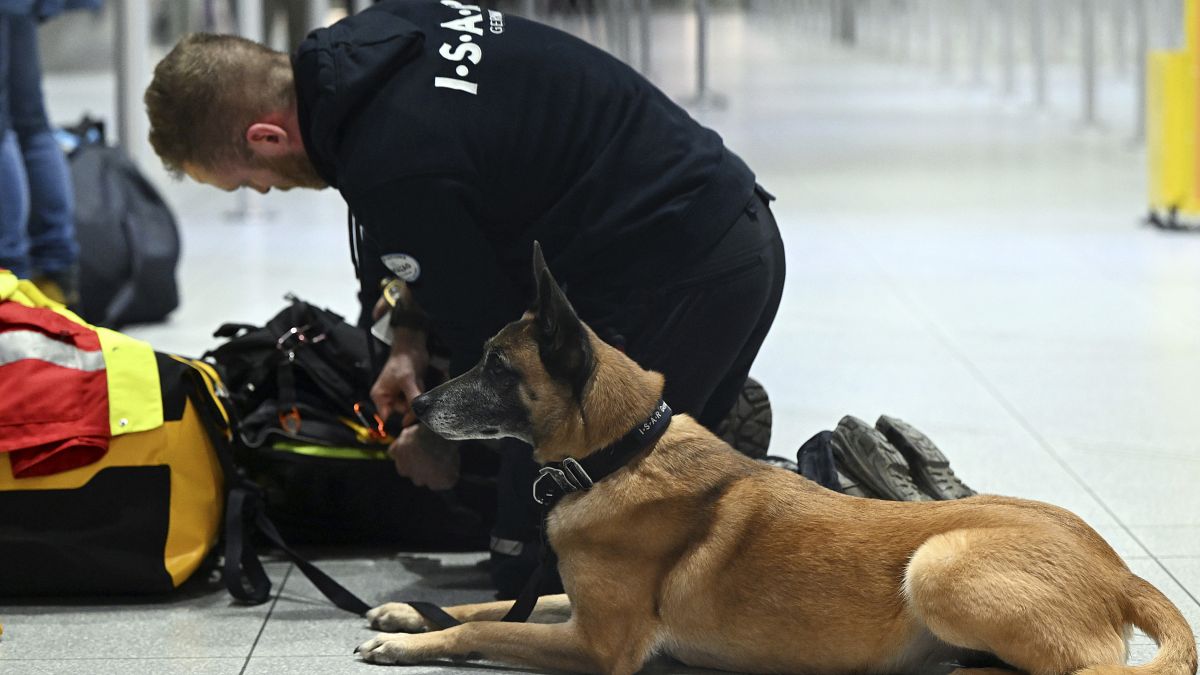  كلب إنقاذ  يدعى "هوب" ينتظر المغادرة في مطار كولونيا / بون، في كولون، ألمانيا، الاثنين 6 فبراير 2023. لمساعدة ضحايا الزلازل في تركيا.