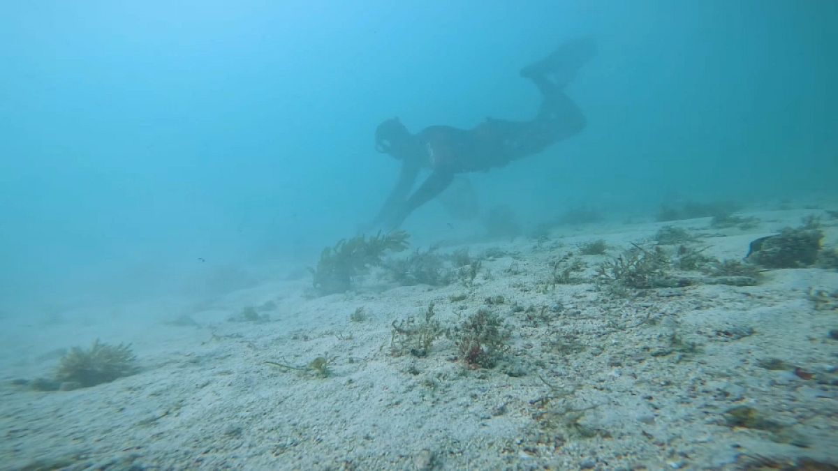 Diving for pearls from Qatari seabeds to glittering display cases