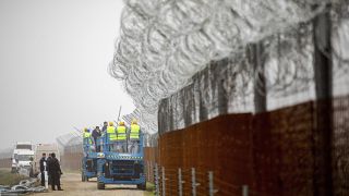 Construction d'une barrière à la frontière entre la Hongrie et la Serbie