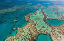 The Australian government has blocked a proposed coal project just 10km from the Great Barrier Reef.