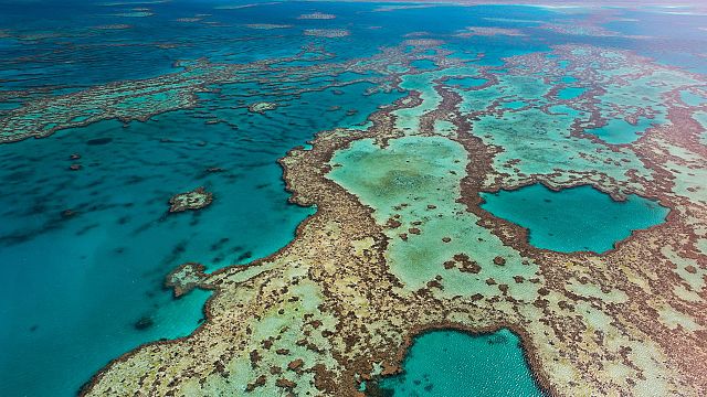 Climate win: Australia blocks new coal mine 10km from Great Barrier ...