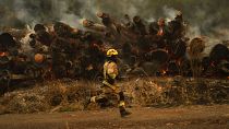 رجل إطفاء يعمل على مكافحة ألسنة اللهب التي تسببت فيها حرائق الغابات في سانتا جوانا، تشيلي، يوم الإثنين. 6 فبراير/شباط 2023.