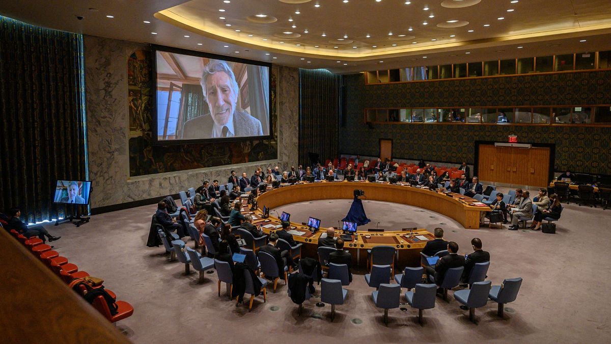 راجر واترز در شورای امنیت سازمان ملل متحد