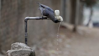 South Africa battles with water crisis