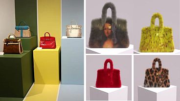 Hermès Wins MetaBirkins (seen on right) lawsuit against Mason Rothschild