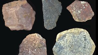 Kenya : découverte d’outils en pierre vieux de 2,9 millions d’années
