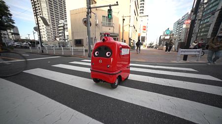 Japan rolls out self-driving delivery robots