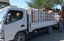 Önkéntesek adományokat pakolnak egy teherautóra Bagdadban.