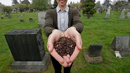 The CEO of Recompose showing a sample of the compost material left from the decomposition of a cow in 2019.