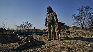 A soldier of the Ukrainian 3rd Army Assault Brigade stands by a trench in position near Bakhmut, Donetsk region, Ukraine, 11 February, 2023