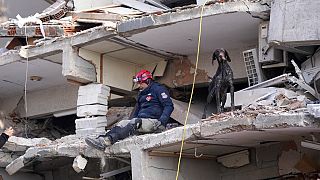 Ein Retter mit seinem Spürhund an einem zerstörten Gebäude in Antakya im Südosten der Türkei,
