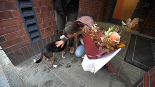 كلاب تساعد في توصيل باقات من الزهور في واشنطن 