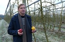 Produtores europeus de fruta adaptam-se às alterações climáticas