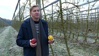 كفاح من أجل البقاء:  كيف يعمل المزارعون لتتكيّف أشجار الفاكهة مع التغير المناخي؟