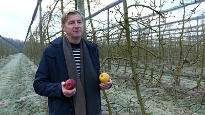 كفاح من أجل البقاء:  كيف يعمل المزارعون لتتكيّف أشجار الفاكهة مع التغير المناخي؟