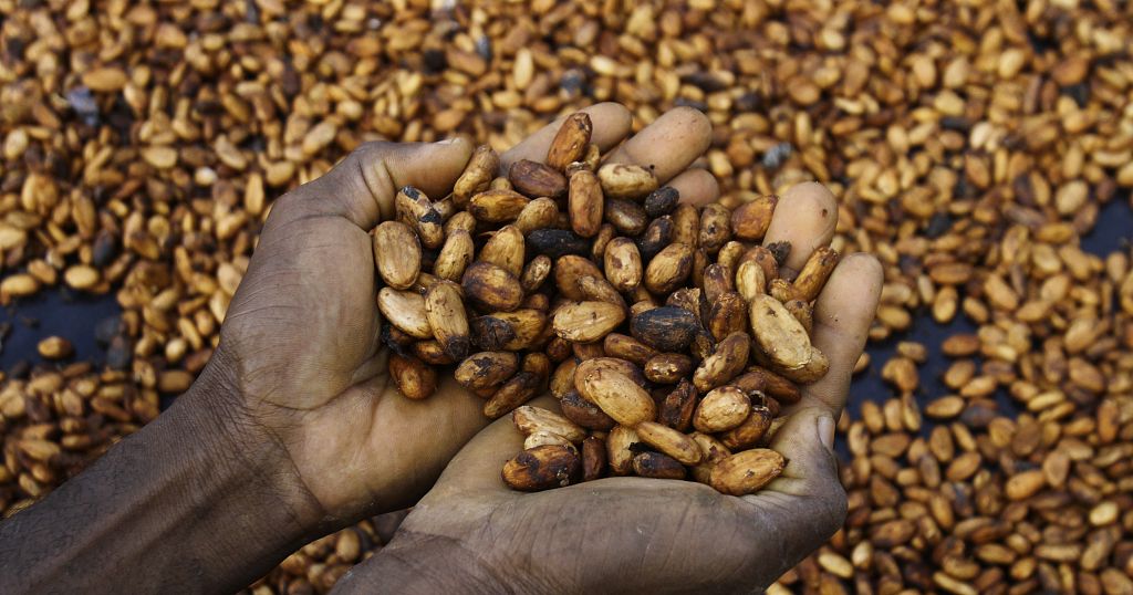 Côte d'Ivoire : des exportateurs de cacao en difficulté