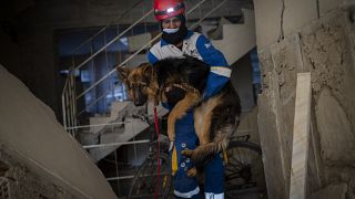 متطوع في اتحاد حقوق الحيوان التركية يحمل كلبًا في منزل مهجور في أنطاكيا، تركيا.