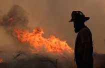 A lángok csaknem 300 000 hektárnyi területet emésztettek fel.