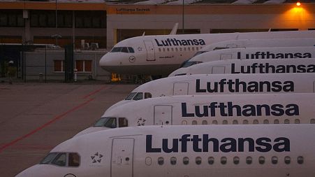 Planes of German carrier Lufthansa at the airport in Frankfurt, Germany 
