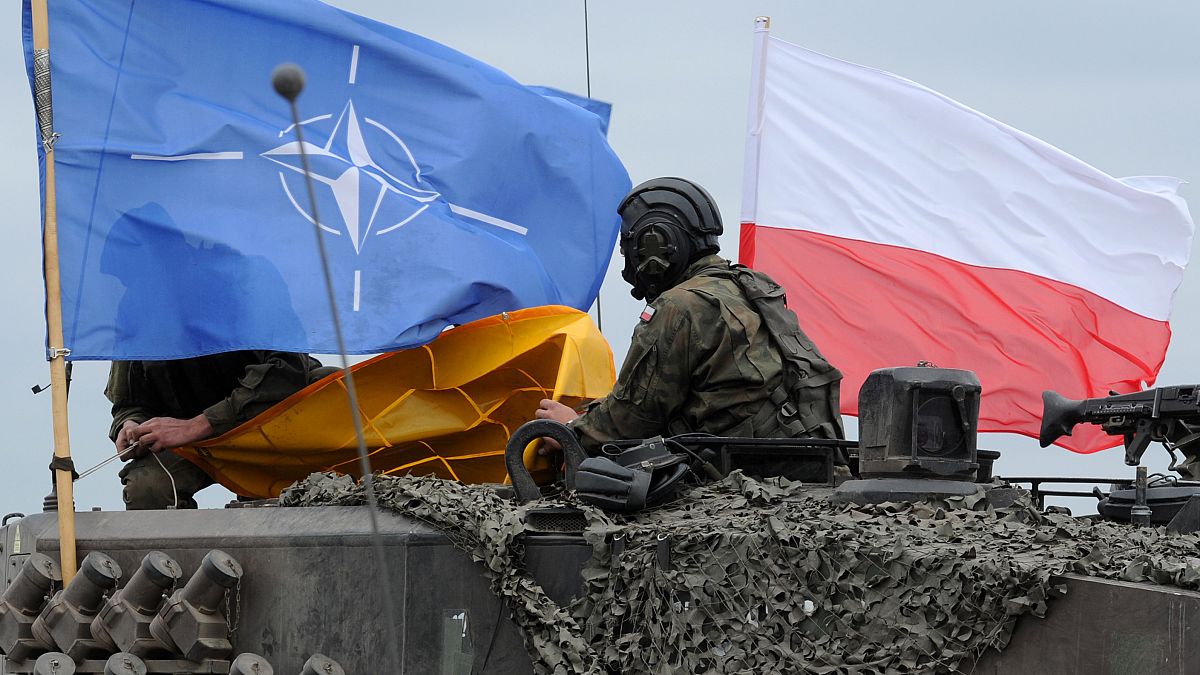 Polnische Soldaten während einer NATO-Übung nahe Swietoszow Zagan im Juni 2015.