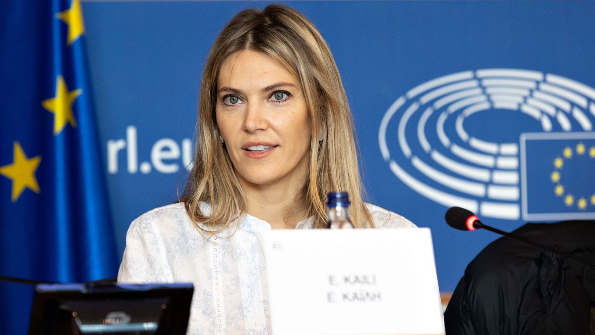 Greek MEP Eva Kaili was arrested on 9 December and later removed as one of the European Parliament's vice-presidents.