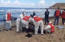 فريق الإنقاذ التابع للهلال الأحمر الليبي ينتشل جثث المهاجرين