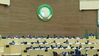 Ethiopie : fin de la 42e session ordinaire du Conseil exécutif de l'UA