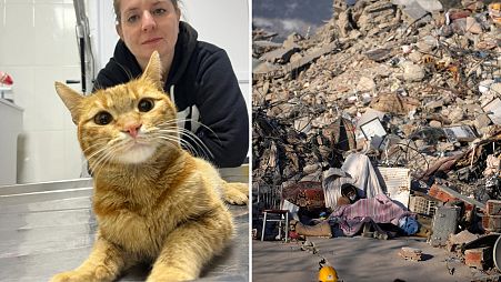 Talia the cat was rescued with a broken hip. | Kahramanmaraş, southeastern Turkey, 13 February 2023.
