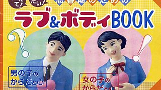 Japonya'da cinsel eğitim kitap kapağı (arşiv)
