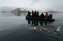 السباحة التشيلية باربرا هيرنانديز تخوض السباق في مياه القطب الجنوبي. 2023/02/18