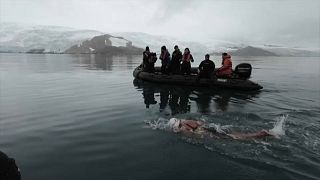 السباحة التشيلية باربرا هيرنانديز تخوض السباق في مياه القطب الجنوبي. 2023/02/18