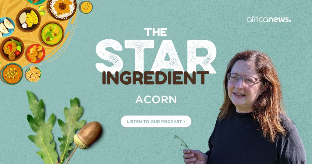 Podcast | Cooking with acorns: how foraging can be a buffer in times of crisis