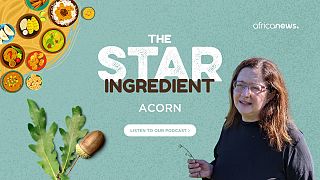 Podcast | Cooking with acorns: how foraging can be a buffer in times of crisis