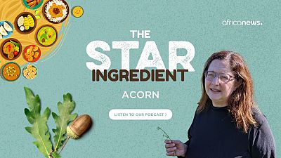 Podcast | Cooking with acorns: how foraging can be a buffer in times of crisis