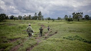 RDC : reprise des hostilités entre l'armée et le M23